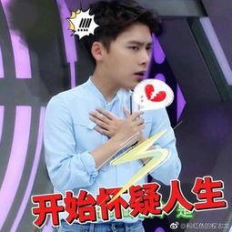 媒体爆料李易峰事件视频,真相与争议交织 第1张 媒体爆料李易峰事件视频,真相与争议交织 第1张